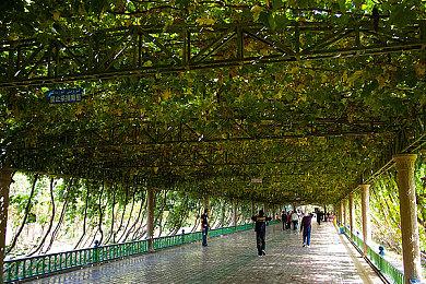 微软收购动视暴雪后《使命召唤》将登陆任天堂平台